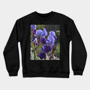 Belles - Irises Crewneck Sweatshirt